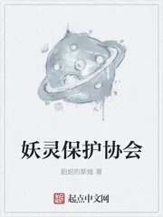 《妖灵保护协会》小说封面