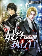 《美漫之最终执行官》小说封面