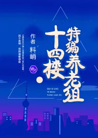 《十四楼特编养老组》小说封面