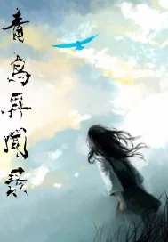 《青鸟异闻录》小说封面