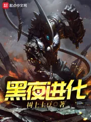 《黑夜进化》小说封面