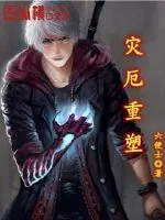 《灾厄重塑》小说封面