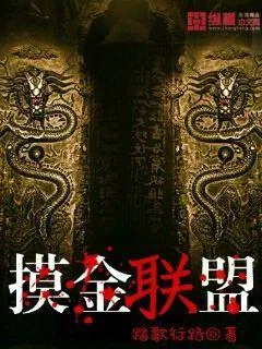 《摸金联盟》小说封面
