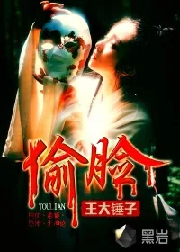 《偷脸》小说封面