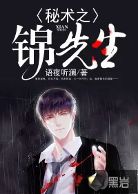 《秘术之锦先生》小说封面
