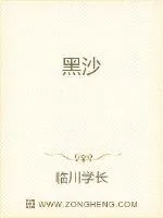 《黑沙》小说封面