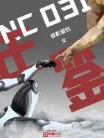 《NC031年鉴》小说封面