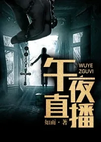 《午夜直播》小说封面
