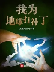 《我为地球打补丁》小说封面