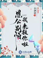 《恩公别怕，我来救你啦》小说封面