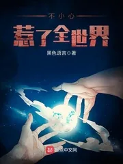 《不小心惹了全世界》小说封面