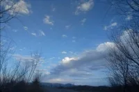 《万物生长向太阳》小说封面