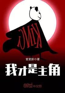 《我才是主角》小说封面