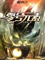 《零号元素》小说封面
