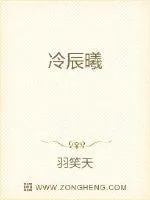 《冷辰曦》小说封面