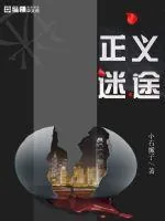 《正义迷途》小说封面