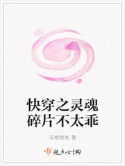 《快穿之灵魂碎片不太乖》小说封面