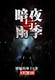 《暗夜与雨季》小说封面