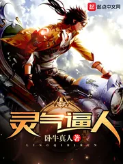 《灵气逼人》小说封面