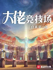 《大佬竞技场》小说封面