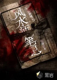 《风水师笔记》小说封面