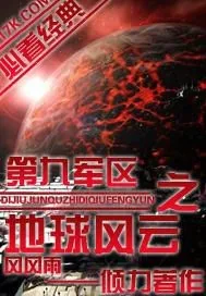 《第九军区之地球风云》小说封面