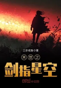 《末世之剑指星空》小说封面