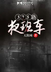 《375路夜班车》小说封面