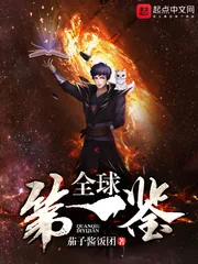 《全球第一鉴》小说封面