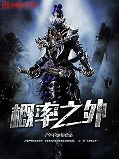 《概率之外》小说封面