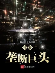 《科技垄断巨头》小说封面