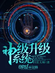 《神级升级系统》小说封面