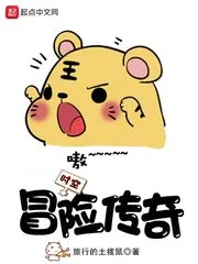 《时空冒险传奇》小说封面
