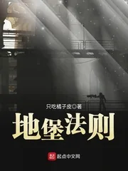 《地堡法则》小说封面