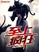 《至上疯狂》小说封面