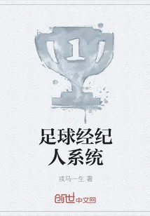 《足球经纪人系统》小说封面