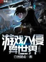 《游戏入侵异世界》小说封面