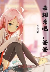 《去相亲吧，爸爸》小说封面