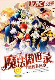 《魔法傲世录》小说封面