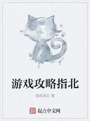 《游戏攻略指北》小说封面