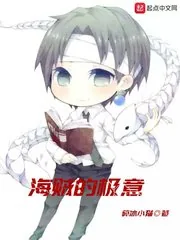 《海贼的极意》小说封面