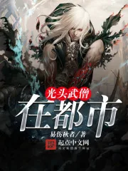 《光头武僧在都市》小说封面