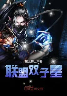 《联盟双子星》小说封面