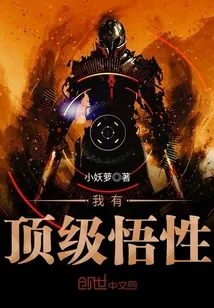 《我有顶级悟性》小说封面