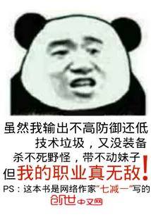 《我的职业真无敌》小说封面