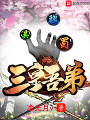 《三皇吾弟》小说封面