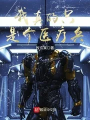 《我真的只是个医疗兵》小说封面