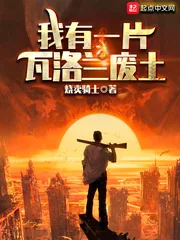 《我有一片瓦洛兰废土》小说封面