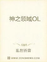 《神之领域OL》小说封面