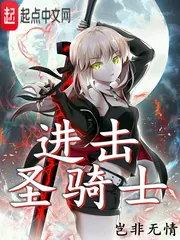 《进击圣骑士》小说封面